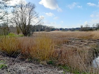 Overstromingsgebied Kruisem: wateroverlast bestrijden én waterbeschikbaarheid verhogen