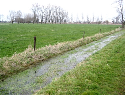 Aanhoudende droogte zorgt voor verscherpte maatregelen