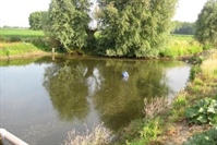 Wateropslag in agrarisch gebied: Hoe landschappelijk integreren?