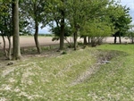 Extra water infiltreren rond jouw glastuinbouwbedrijf? Laat je begeleiden!