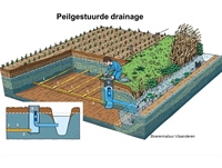 Presentaties studiedag 'Opportuniteiten voor peilgestuurde drainage'
