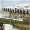 Hemelwater: Slim hergebruik van regenwater