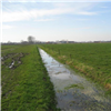 Verbeterde waterkwaliteit in het brongebied van de Vlaamse Ardennen