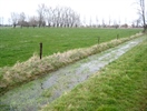 Aanhoudende droogte zorgt voor verscherpte maatregelen