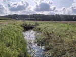 Waterbeheer in de landbouw: van bedrijf tot stroomgebied