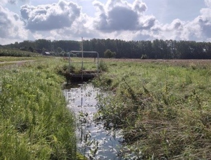 Waterbeheer in de landbouw: van bedrijf tot stroomgebied