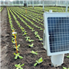 MIRLET-tool nu ook toepasbaar vanuit Care4Growing