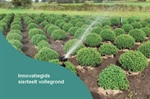 Innovatiegids 'Slimme irrigatiesturing' voor sierteelt vollegrond