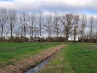 BELAT: beschermingsstroken voor land- en tuinbouw