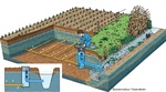Peilgestuurde drainage