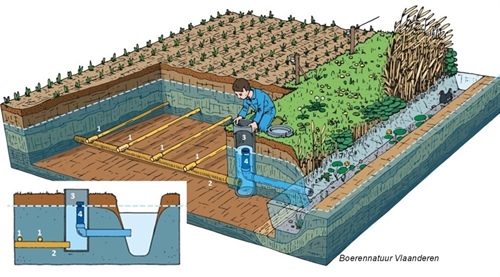 Peilgestuurde drainage