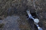 Nitraat in drainagewater, een hardnekkig probleem
