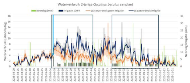 Figuur 1 Effect van 100% irrigatie op het waterverbruik in een tweejarige Carpinus betulus aanplant.