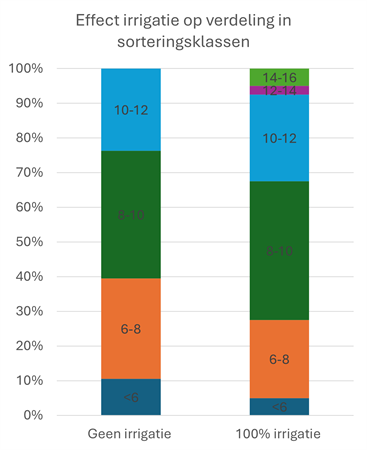 Figuur  1: Effect van irrigatie tijdens jaar 2, 3 en 4 op de verdeling van Carpinus betulus in de sorteringsklassen (in cm).