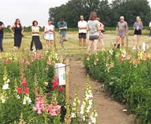 Van irrigatie tot groenbemesters: hoogtepunten van het Proefveldbezoek (bio)bloemen